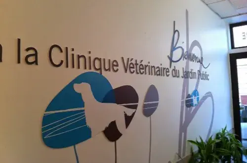 Vétérinaire Clinique Urbiveto du Dr Lavalette