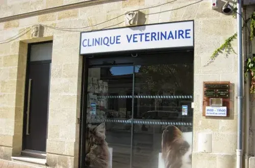 Clinique Vétérinaire