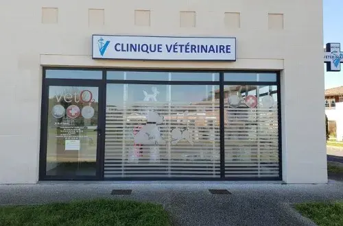 Clinique vétérinaire VetO2