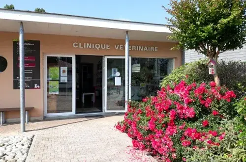 Clinique vétérinaire de l'Illot (SELARLU VETOILLOT)