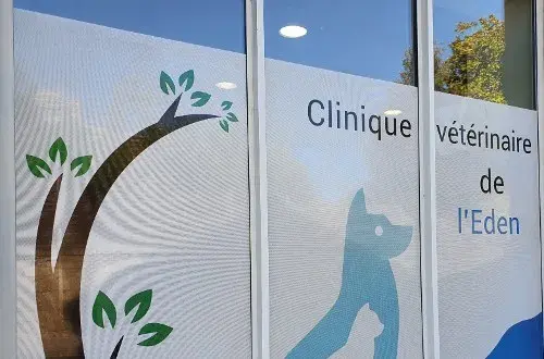 Clinique vétérinaire de l'Eden