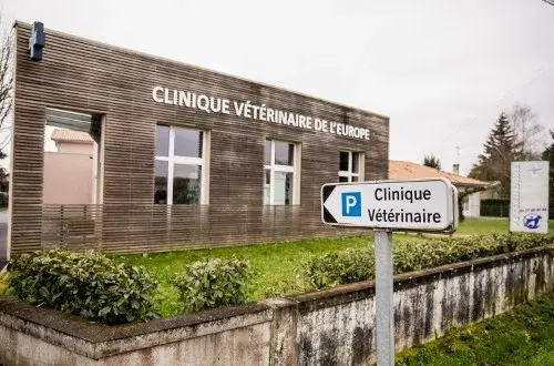 Clinique Vétérinaire de l'Europe  Docteurs Carpentier et Ladous