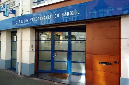 Clinique Vétérinaire du Barœul