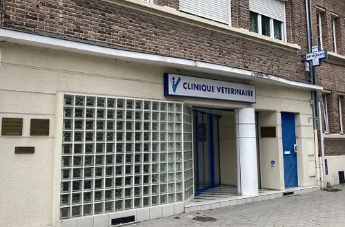 Okivét  Clinique Vétérinaire de la Collégiale (Dr Alexandre)