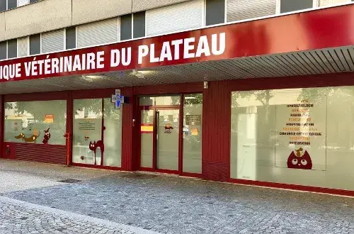 Clinique Vétérinaire Du Plateau