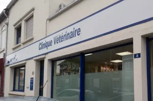 Clinique veterinaire notre dame