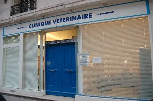 Docteur Pignoncabe EmmanuelleClinique Vétérinaire