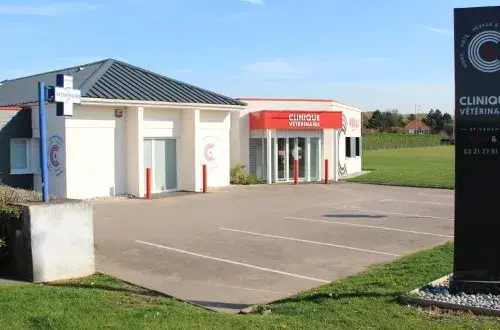 Vétérinaire de