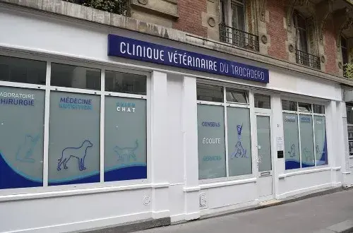 Clinique Vétérinaire du Trocadero