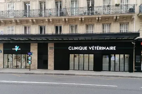 Clinique Vétérinaire SaintGermain