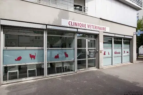 Clinique vétérinaire Vetovie SaintHélier