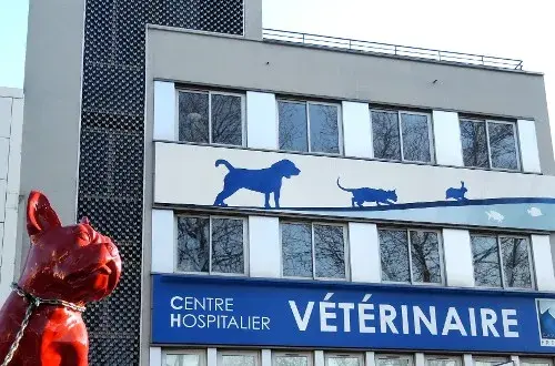 FREGIS  Centre Hospitalier Vétérinaire