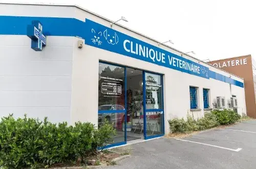 Clinique Veterinaire Saint Brice Courcelles