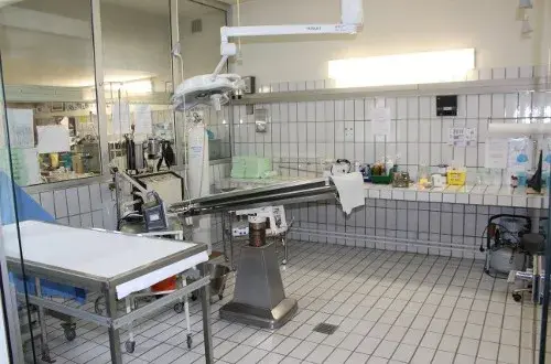 Clinique Vétérinaire Argos