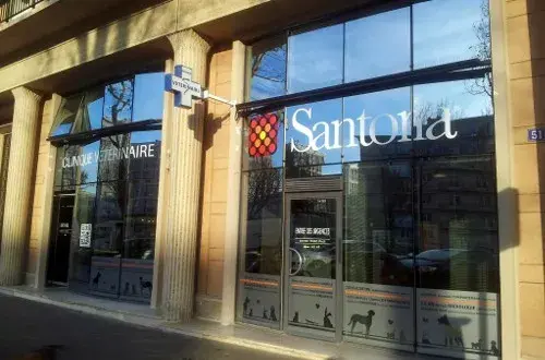 Santoria Clinique Vétérinaire Saint Roch