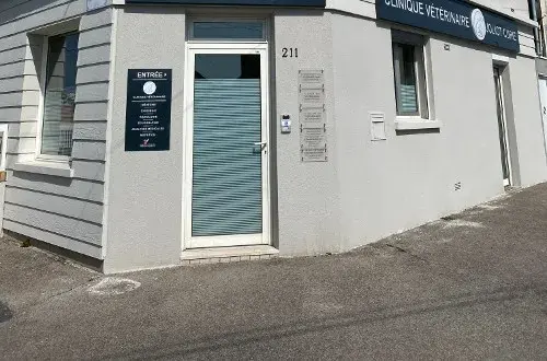 Clinique Vétérinaire Joliot Curie Le(76)