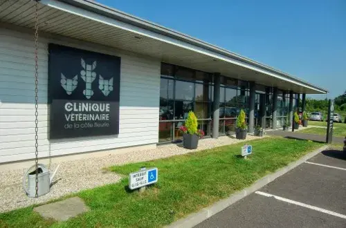 Clinique Vétérinaire de la Côte Fleurie