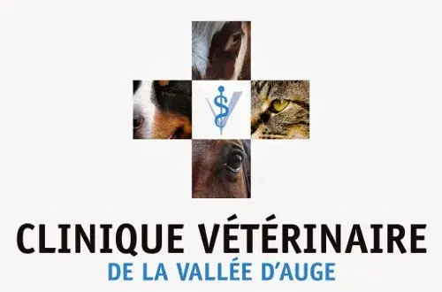 CLINIQUE VÉTÉRINAIRE DE LA VALLÉE D'AUGE Docteurs MÉNAGER  CLAUSSE  JAMROT  FOUCAULT