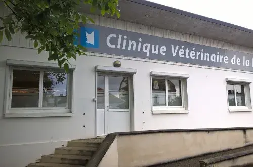 Clinique Vétérinaire de la Risle de