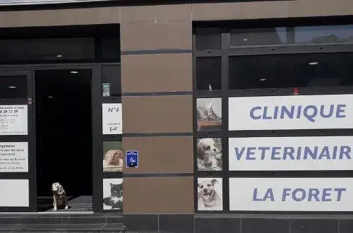 Clinique vétérinaire La Forêt