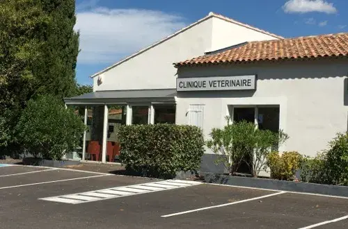 Clinique Vétérinaire BeaussetVet  Docteur Bruno Delassus