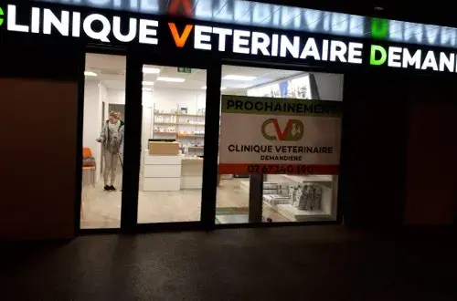 Clinique Vétérinaire Demandière