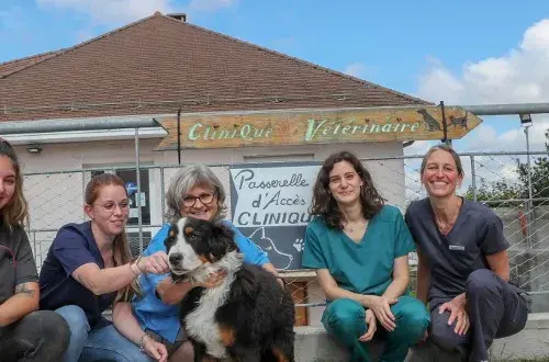 Clinique vétérinaire de la Maladière