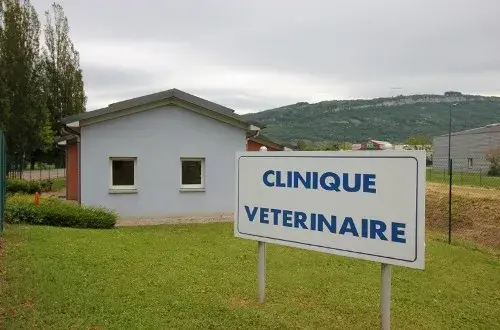 Clinique Vétérinaire Du Bas Bugey