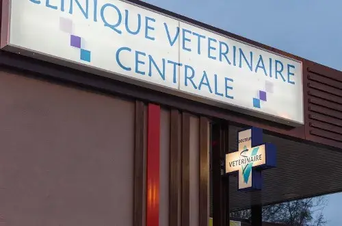 Clinique Vétérinaire Centrale