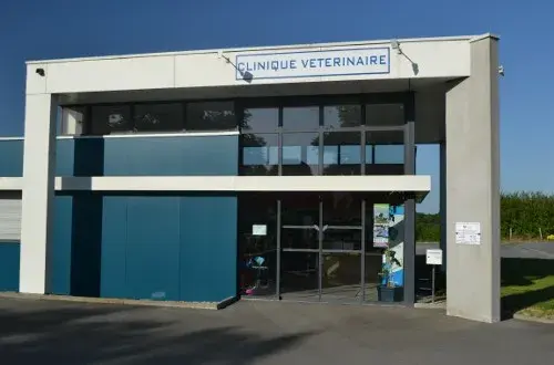 Clinique Vétérinaire Innovet  Le Lion d'Angers