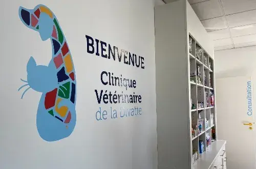 Clinique Vétérinaire de la Divatte