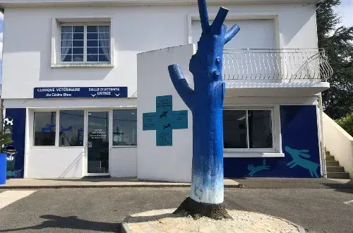 Clinique Vétérinaire du Cèdre Bleu