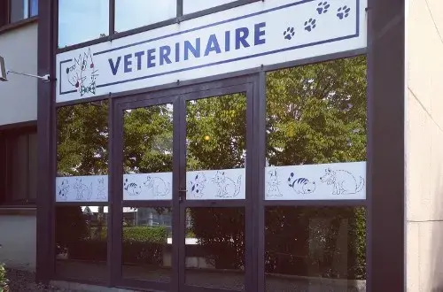 Clinique Vétérinaire Animaux et Vous