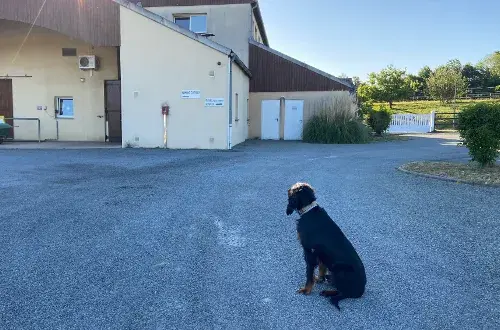 Clinique Vétérinaire du Grand Renaud