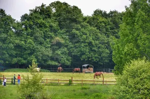 Centre Vétérinaire de la Faune Sauvage et des Écosystèmes