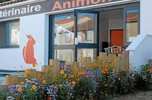 Vétérinaire Animonvet