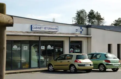 Cabinet Vétérinaire BOCAVET Nueil les Aubiers