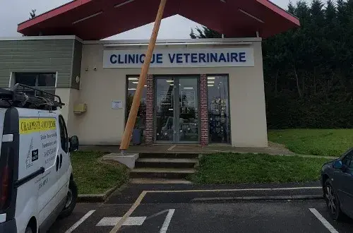 Clinique Vétérinaire VetLoire à Montlouis