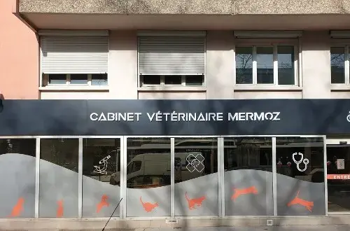 Cabinet vétérinaire Mermoz