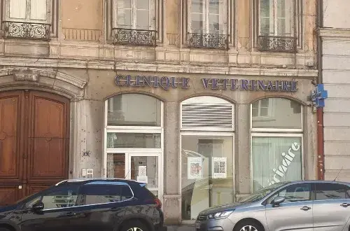 Clinique vétérinaire Bellecour