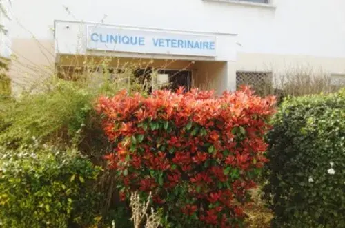 Clinique Vétérinaire de Trion