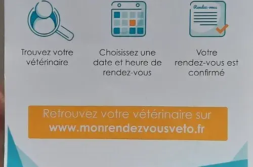 Clinique Veterinaire Des Muriers