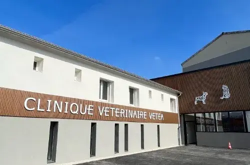 Clinique vétérinaire VETEA