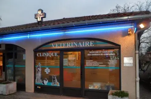 CLINIQUE VETERINAIRE KEROUEDAN