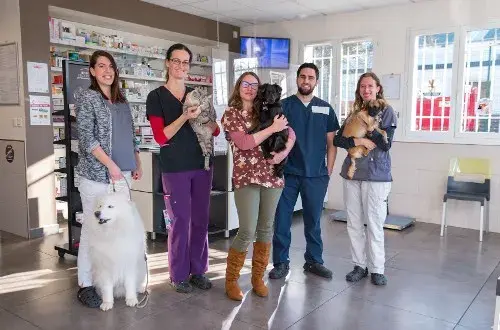 Clinique Vétérinaire de la Garrigue