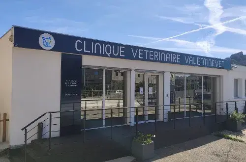 Clinique Vétérinaire ValentineVet