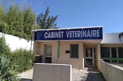 cabinet vétérinaire d'Aubignane. Docteur Christel Joubert