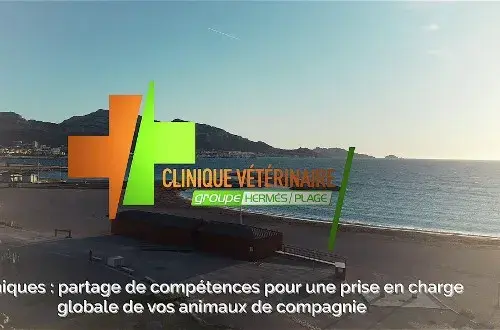 Clinique Vétérinaire De La Plage