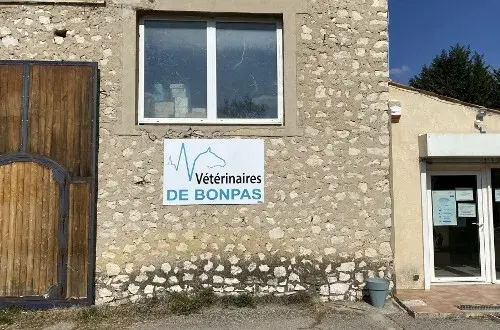 Vétérinaires De Bonpas