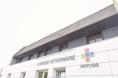 Clinique vétérinaire Vétiroise de